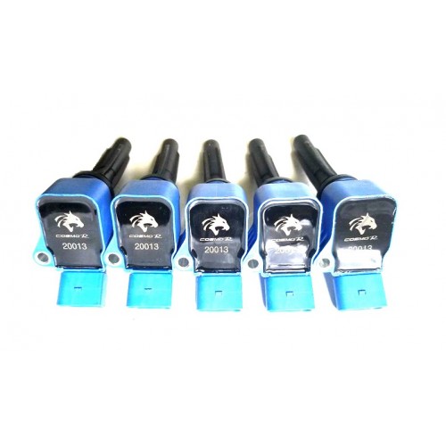AUDI TT QUATTRO RS 2018-2019 2.5L L5 TURBO (Set of 5pcs)